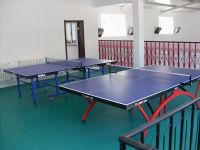 乒乓球pvc地板，乒乓球館地膠